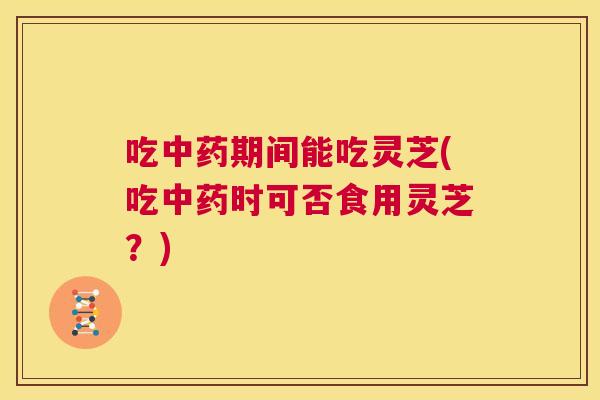 吃中药期间能吃灵芝(吃中药时可否食用灵芝？)  第1张