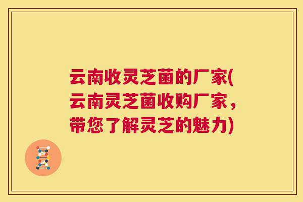 云南收灵芝菌的厂家(云南灵芝菌收购厂家，带您了解灵芝的魅力)  第1张