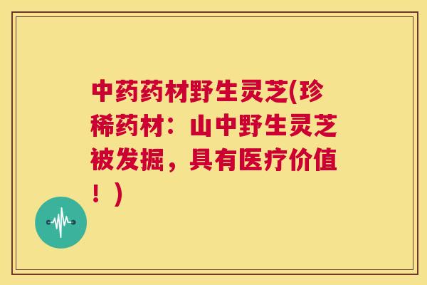 中药药材野生灵芝(珍稀药材：山中野生灵芝被发掘，具有医疗价值！)  第1张