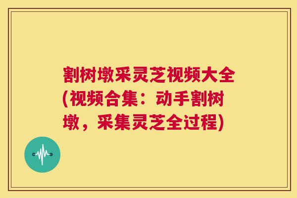 割树墩采灵芝视频大全(视频合集：动手割树墩，采集灵芝全过程)  第1张
