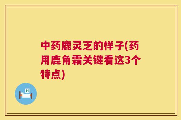 中药鹿灵芝的样子(药用鹿角霜关键看这3个特点)  第1张
