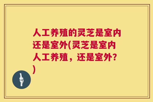 人工养殖的灵芝是室内还是室外(灵芝是室内人工养殖，还是室外？)  第1张