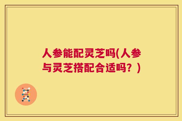 人参能配灵芝吗(人参与灵芝搭配合适吗？)  第1张
