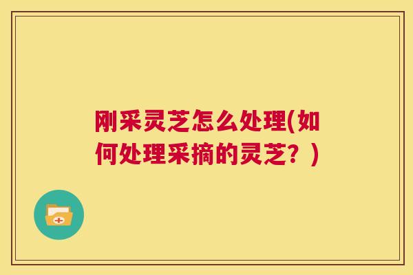 刚采灵芝怎么处理(如何处理采摘的灵芝？)  第1张