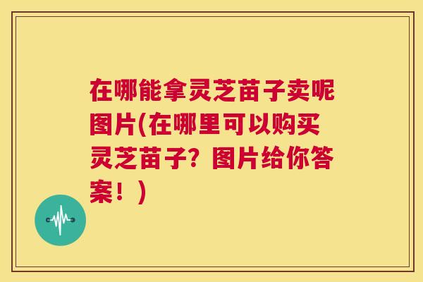 在哪能拿灵芝苗子卖呢图片(在哪里可以购买灵芝苗子？图片给你答案！)  第1张