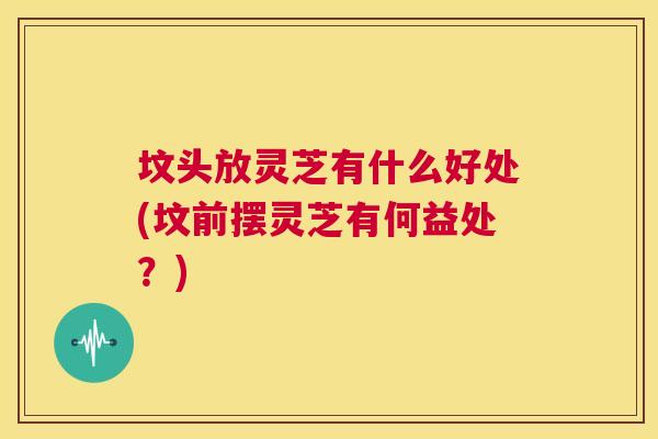 坟头放灵芝有什么好处(坟前摆灵芝有何益处？)  第1张