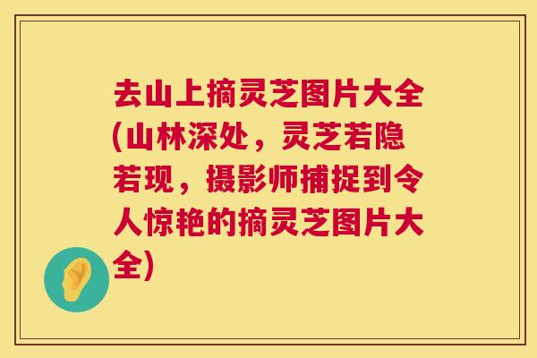 去山上摘灵芝图片大全(山林深处，灵芝若隐若现，摄影师捕捉到令人惊艳的摘灵芝图片大全)  第1张