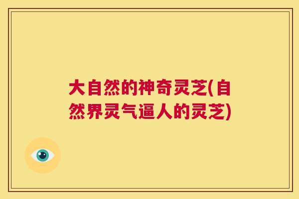 大自然的神奇灵芝(自然界灵气逼人的灵芝)  第1张