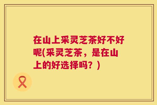 在山上采灵芝茶好不好呢(采灵芝茶，是在山上的好选择吗？)  第1张