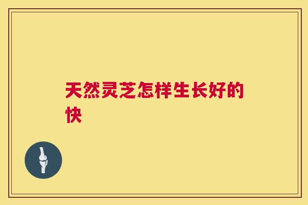 天然灵芝怎样生长好的快  第1张