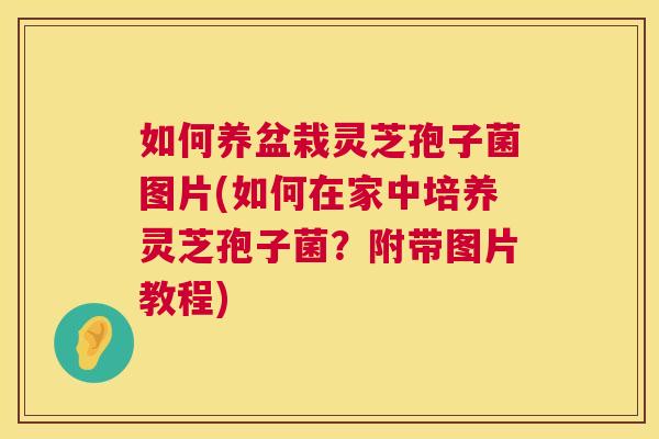 如何养盆栽灵芝孢子菌图片(如何在家中培养灵芝孢子菌？附带图片教程)  第1张