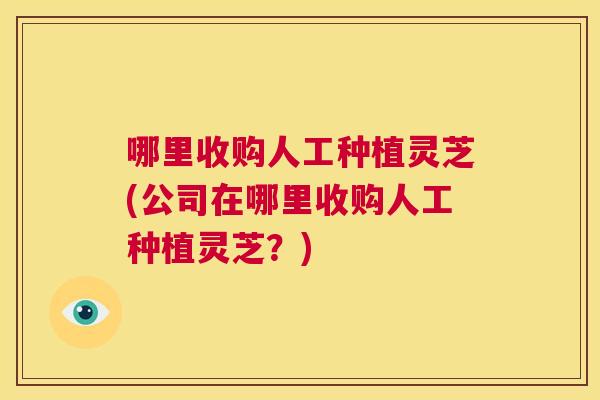 哪里收购人工种植灵芝(公司在哪里收购人工种植灵芝？)  第1张