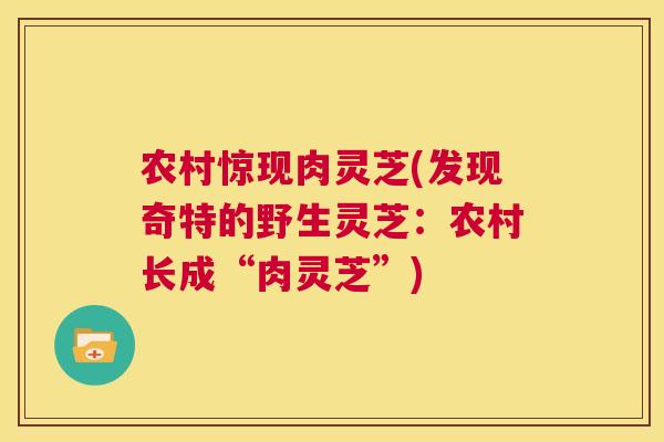 农村惊现肉灵芝(发现奇特的野生灵芝：农村长成“肉灵芝”)  第1张