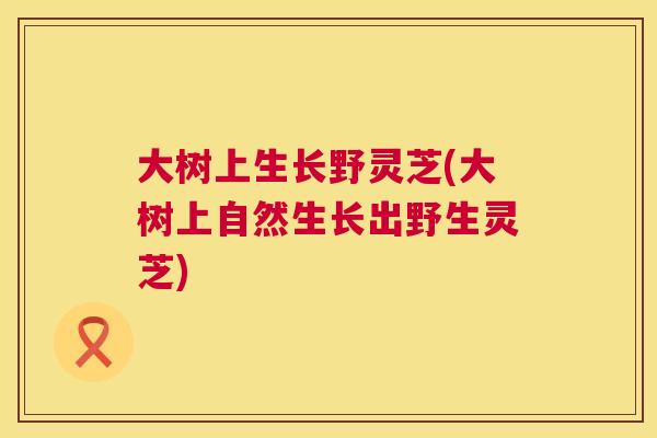 大树上生长野灵芝(大树上自然生长出野生灵芝)  第1张