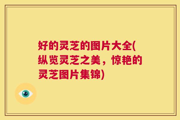 好的灵芝的图片大全(纵览灵芝之美，惊艳的灵芝图片集锦)  第1张
