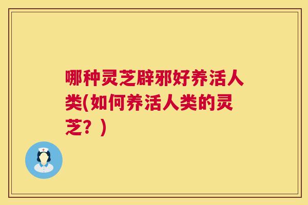 哪种灵芝辟邪好养活人类(如何养活人类的灵芝？)  第1张