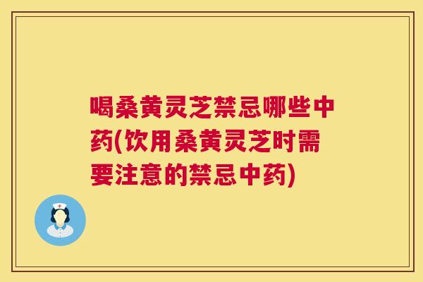 喝桑黄灵芝禁忌哪些中药(饮用桑黄灵芝时需要注意的禁忌中药)  第1张