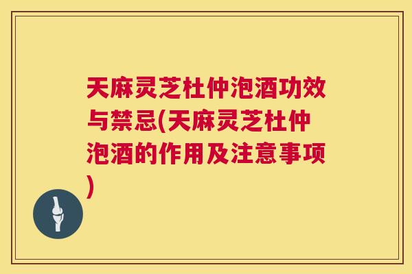 天麻灵芝杜仲泡酒功效与禁忌(天麻灵芝杜仲泡酒的作用及注意事项)  第1张