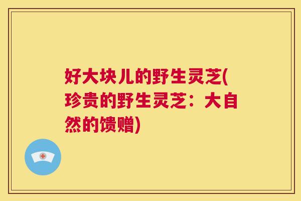 好大块儿的野生灵芝(珍贵的野生灵芝：大自然的馈赠)  第1张
