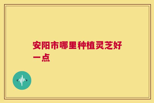 安阳市哪里种植灵芝好一点  第1张