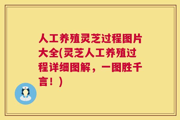 人工养殖灵芝过程图片大全(灵芝人工养殖过程详细图解，一图胜千言！)  第1张