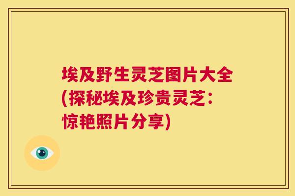 埃及野生灵芝图片大全(探秘埃及珍贵灵芝：惊艳照片分享)  第1张