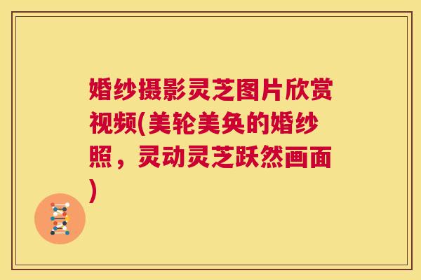 婚纱摄影灵芝图片欣赏视频(美轮美奂的婚纱照，灵动灵芝跃然画面)  第1张