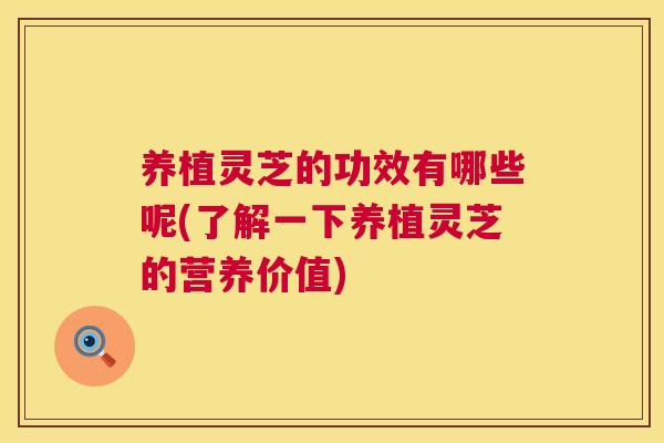 养植灵芝的功效有哪些呢(了解一下养植灵芝的营养价值)  第1张