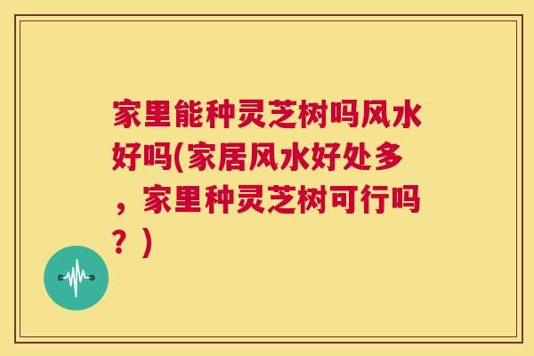 家里能种灵芝树吗风水好吗(家居风水好处多，家里种灵芝树可行吗？)  第1张