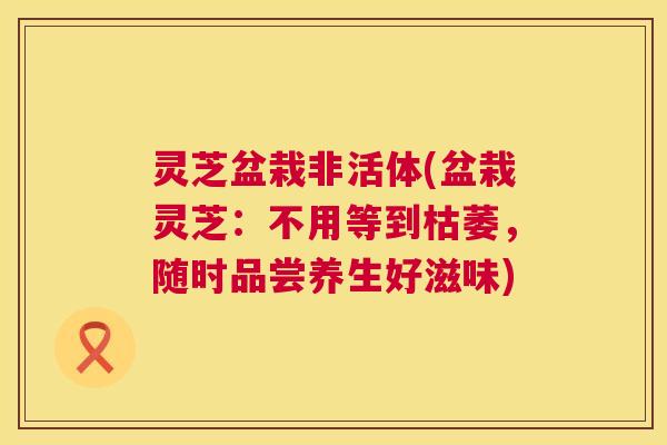 灵芝盆栽非活体(盆栽灵芝:不用等到枯萎,随时品尝养生好滋味) 第1张 灵芝盆栽非活体(盆栽灵芝:不用等到枯萎,随时品尝养生好滋味) 第1张