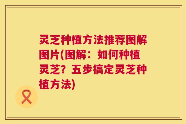 灵芝种植方法推荐图解图片(图解:如何种植灵芝?五步搞定灵芝种植方法) 第1张 灵芝种植方法推荐图解图片(图解:如何种植灵芝?五步搞定灵芝种植方法) 第1张