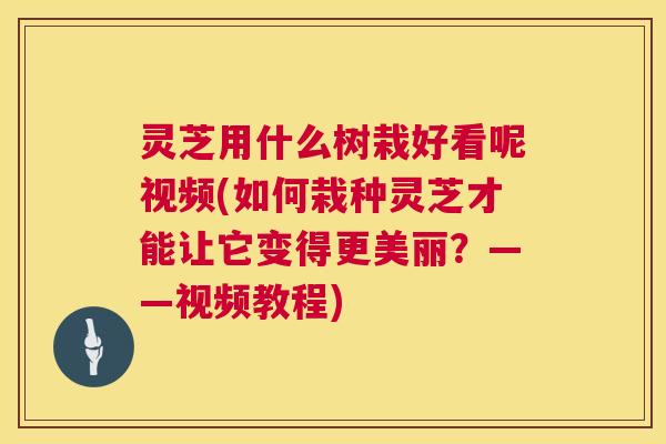 灵芝用什么树栽好看呢视频(如何栽种灵芝才能让它变得更美丽?——视频教程) 第1张 灵芝用什么树栽好看呢视频(如何栽种灵芝才能让它变得更美丽?——视频教程) 第1张