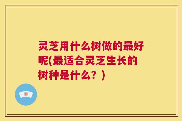 灵芝用什么树做的最好呢(最适合灵芝生长的树种是什么?) 第1张 灵芝用什么树做的最好呢(最适合灵芝生长的树种是什么?) 第1张