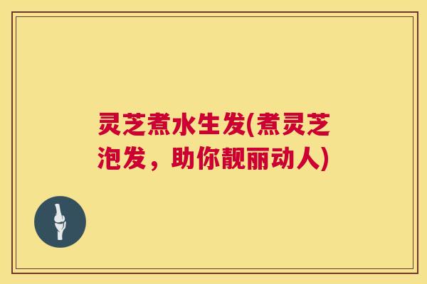 灵芝煮水生发(煮灵芝泡发，助你靓丽动人)  第1张