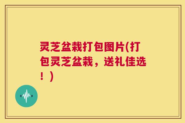 灵芝盆栽打包图片(打包灵芝盆栽，送礼佳选！)  第1张