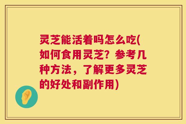 灵芝能活着吗怎么吃(如何食用灵芝？参考几种方法，了解更多灵芝的好处和副作用)  第1张