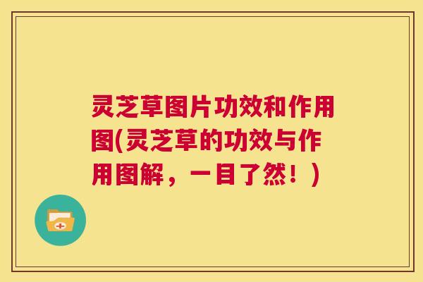 灵芝草图片功效和作用图(灵芝草的功效与作用图解，一目了然！)  第1张