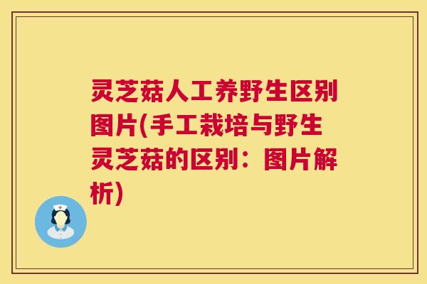灵芝菇人工养野生区别图片(手工栽培与野生灵芝菇的区别:图片解析) 第1张 灵芝菇人工养野生区别图片(手工栽培与野生灵芝菇的区别:图片解析) 第1张