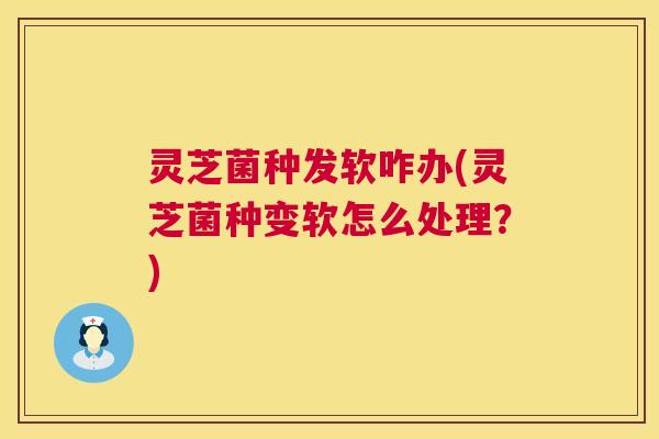 灵芝菌种发软咋办(灵芝菌种变软怎么处理？)  第1张