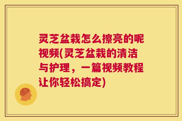 灵芝盆栽怎么擦亮的呢视频(灵芝盆栽的清洁与护理，一篇视频教程让你轻松搞定)  第1张