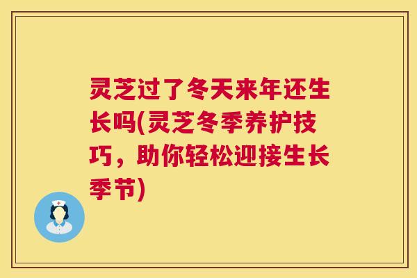 灵芝过了冬天来年还生长吗(灵芝冬季养护技巧，助你轻松迎接生长季节)  第1张