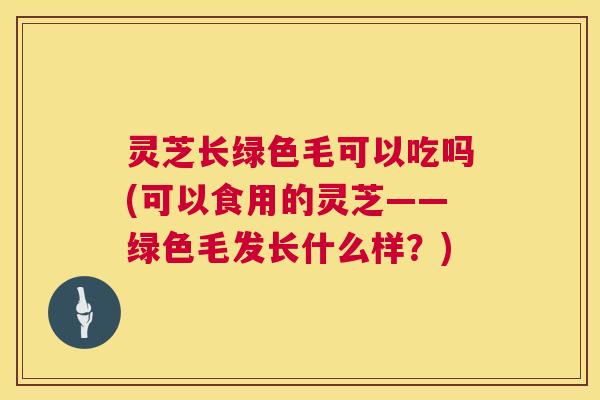 灵芝长绿色毛可以吃吗(可以食用的灵芝——绿色毛发长什么样？)  第1张