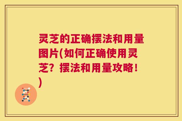 灵芝的正确摆法和用量图片(如何正确使用灵芝？摆法和用量攻略！)  第1张