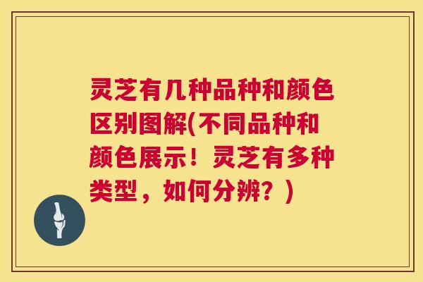 灵芝有几种品种和颜色区别图解(不同品种和颜色展示！灵芝有多种类型，如何分辨？)  第1张