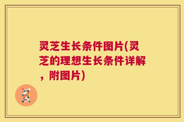 灵芝生长条件图片(灵芝的理想生长条件详解，附图片)  第1张