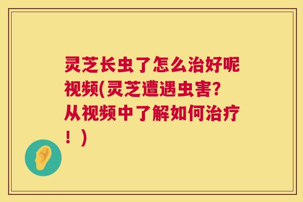 灵芝长虫了怎么治好呢视频(灵芝遭遇虫害？从视频中了解如何治疗！)  第1张