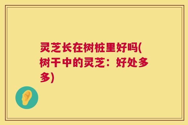 灵芝长在树桩里好吗(树干中的灵芝：好处多多)  第1张