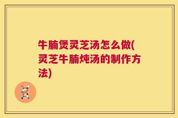 牛腩煲灵芝汤怎么做(灵芝牛腩炖汤的制作方法)  第1张