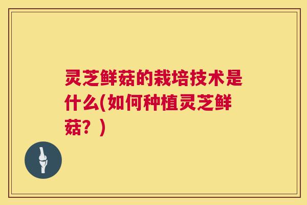 灵芝鲜菇的栽培技术是什么(如何种植灵芝鲜菇？)  第1张