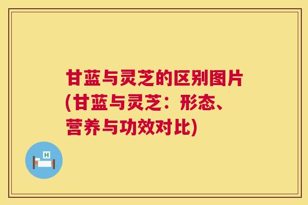 甘蓝与灵芝的区别图片(甘蓝与灵芝：形态、营养与功效对比)  第1张